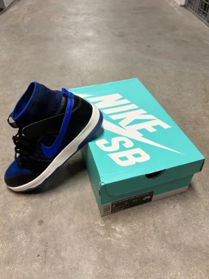 Nike SB Dunks - Helt nya.