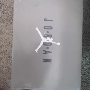 Air Jordan 11 grey  - Jag har andvänt ett par några gånger. Jag säljer de för att, jag inte andvänt de på senaste tiden. Skorna kostade 2700 kr när jag köpte de från foot locker. Jag rengör de när du som skriver med mig är intresserad.   ENDAST SERIÖSA KÖPARE 👍