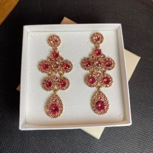 Helt ny, Lily & Rose örhängen  - Lily and Rose Kate örhängen  I Ny skick, aldrig använt  Färg: Indian rose/rose prackar  Material: Swarovski stenar/18k guldplätering  Ask medföljer  Kommer från rök och djurfri hem  Kolla gärna mina andra annonser