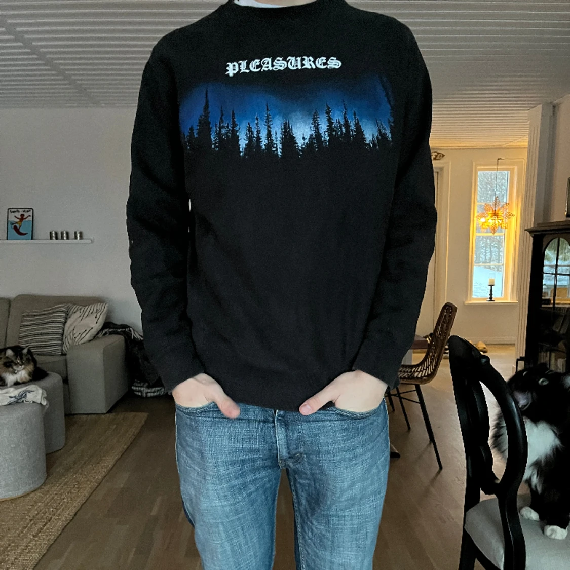 Pleasures sweatshirt