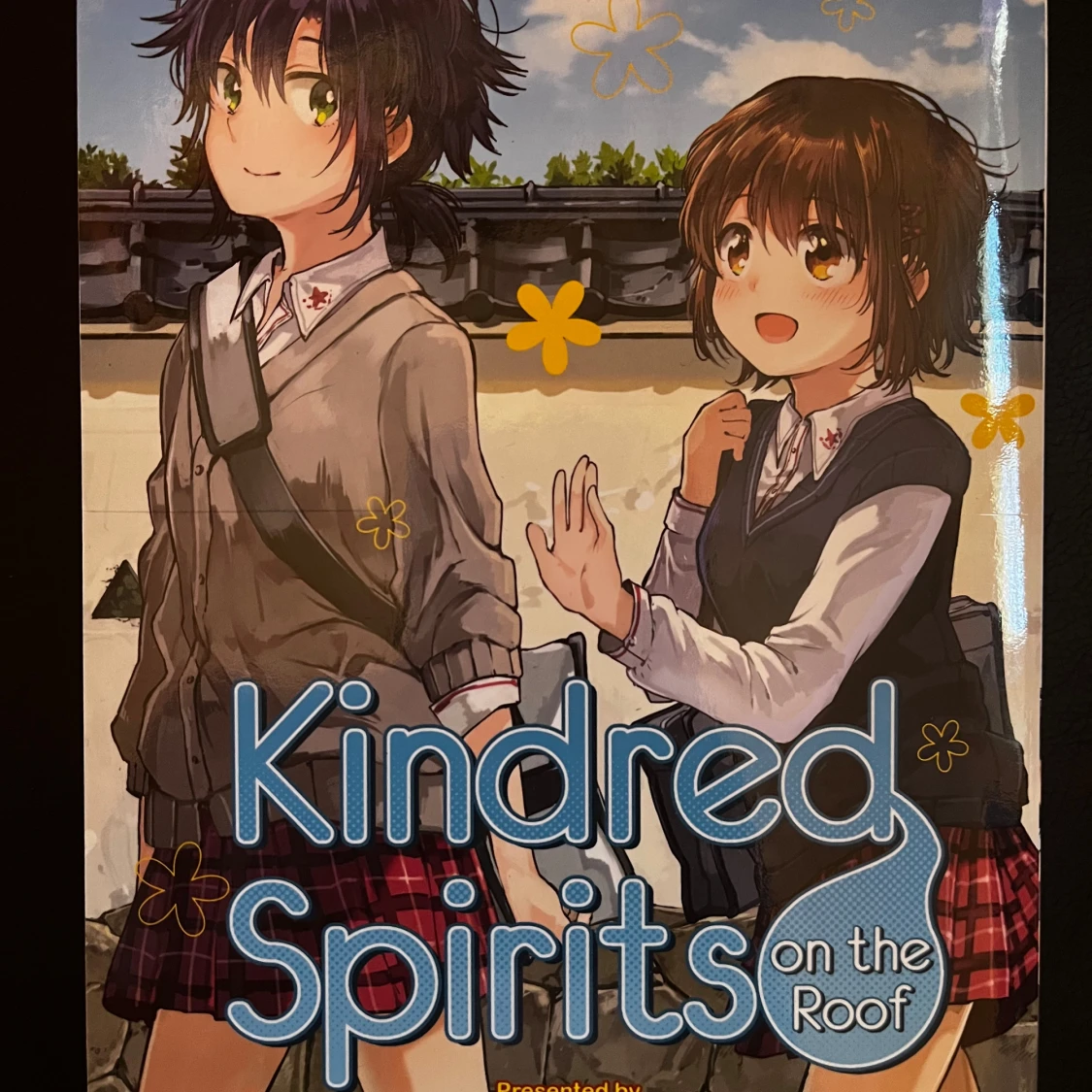 Kindred spirit on the roof 