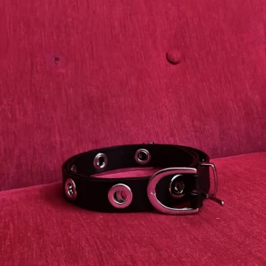 Ascoolt bälte - Skitsnyggt bälte köpt för ett tag sen, har använts ett fåtal gånger.  Skriv privat om nk vill ha mått. Priset är diskuterbart:3