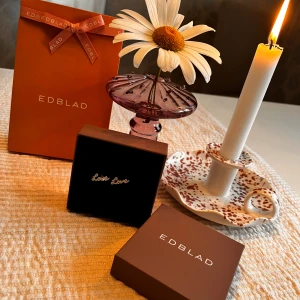 Örhängen Edblad  - Örhängen från Edblad det står ”Love” på dom och dom är i stål  Nyskick, vill ni ha örhängena i en Edblad låda får ni betala 15kr extra + frakt 