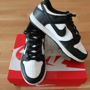 Nike Dunk Low Retro - Riktigt bra skick i läder och sula.  Endast små slitagetecken.