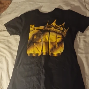 The natourius big t shirt  - Väldigt bra skick på tishan den är  skön super cool pris är diskuterbart 