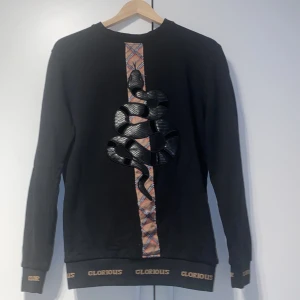 Glorious tröja  - Bra skick bara använt några få antal gånger 