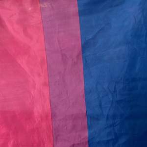 Jag säljer en bisexuel flagga då jag inte är bi längre! Den är bara andvänd på en Pride festival 2023 och har bara suttit i mitt rum sen dess, inga av mina kompisar är bi så jag säljer den!🏳️‍🌈❤️🔥