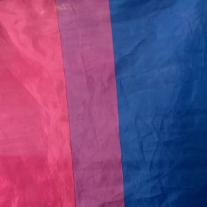 Bisexual flagga🏳️‍🌈 - Jag säljer en bisexuel flagga då jag inte är bi längre! Den är bara andvänd på en Pride festival 2023 och har bara suttit i mitt rum sen dess, inga av mina kompisar är bi så jag säljer den!🏳️‍🌈❤️🔥
