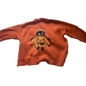 Halloween tröja som säljs då jag inte firar halloween. Den är i perfekt skick och endast testad. Tvättas självklart innan köp:) köptes för 189 kr. kontakta om du tex vill ha bilder på eller annat 💓