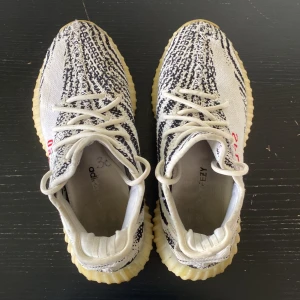 Yeezy skor - Feta par yeezy skor som passar alla. Yeezy zebra 350.  Priset går att diskutera. 