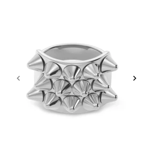 Edblad Ring  - Den nitade Edblads ringen i silver, inga defekter! Storlek 16,00mm🩶✨ Pris kan diskuteras