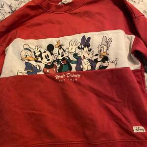 En JÄTTEGULLIG sweater med Disney-motiv. ❤️ Den är jättebekväm och har fluff inuti, köptes på H&M och säljs nog inte längre. Använd men i fint skick!! Köpare står för frakt och frimärke, kan även mötas upp :-)