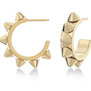 Edblad örhänge - Söker! Ett guldigt örhänge från Edblad då jag tappa bort ena.