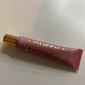 Blush  - Vet inte vad de e för märke men köpt på normal och aldrig anvönt utan bara testad. 