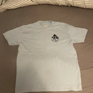 Ljusblå polar tröja  - En ljusblå T-shirt från polarskate co, aldrig använd, inga hål eller fläckar