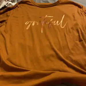 En fin brun t-shirt med motivet Grateful. Tröjan är skönt material. Knappt använt då den var för liten i ryggen.
