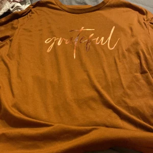 T-Shirt Grateful - En fin brun t-shirt med motivet Grateful. Tröjan är skönt material. Knappt använt då den var för liten i ryggen.