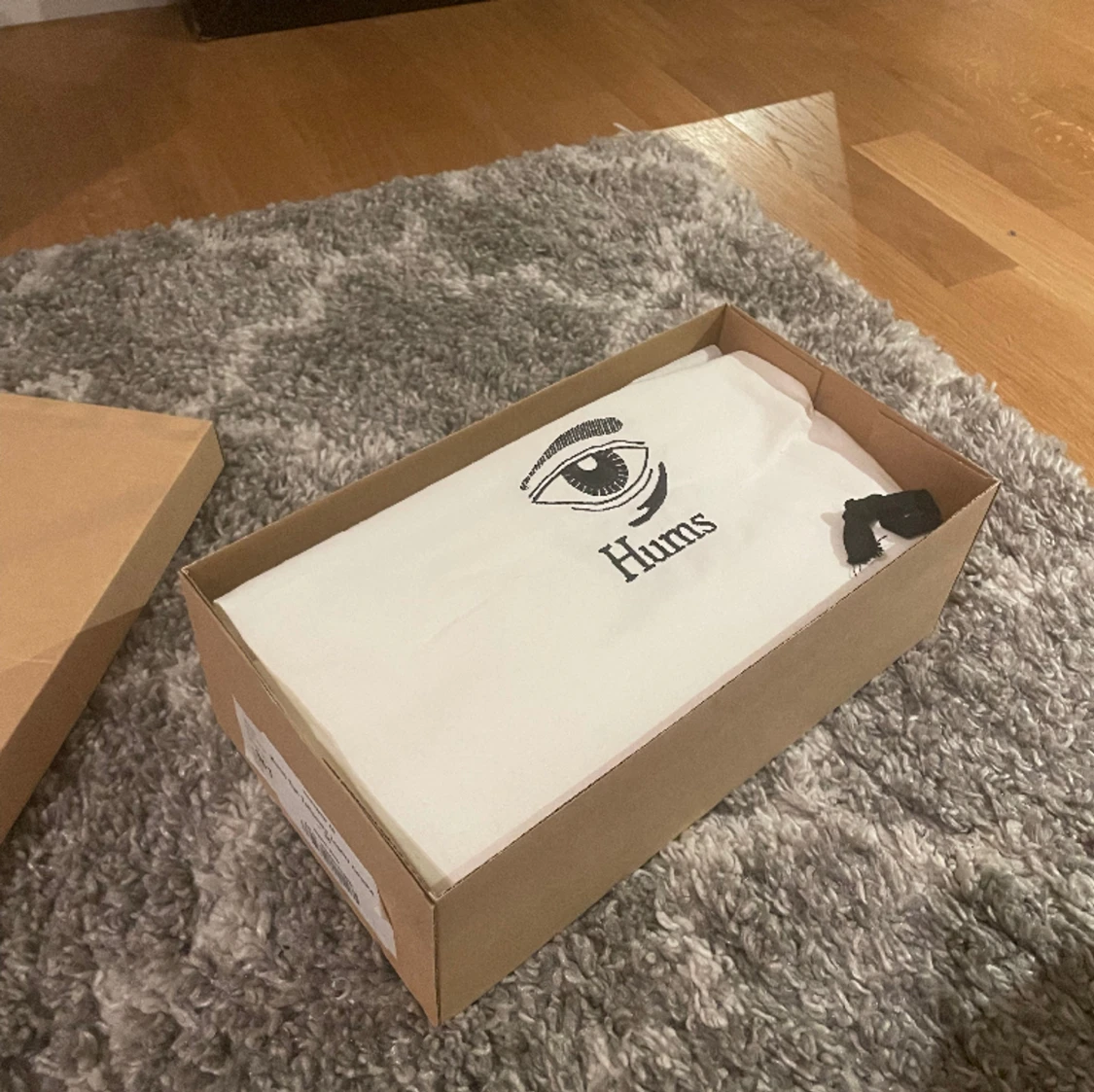 Hums skor aldrig använda - 91