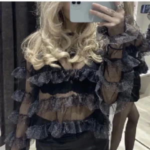 Populär glittrig meshtröja - Superpopulär och slutsåld festlig glittrig meshtröja från Zara🥳 Oanvänd och i storlek S, passar även XS. 