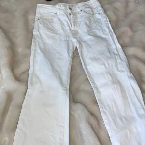 Fina vita jeans från Mango. Det är typ low waisted och straight/bootcut🤍 fina till våren. Väldigt fint skick!