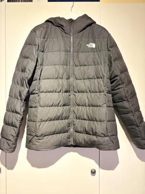 Vinterjacka - Vinterjacka från The North Face. Inga skador på jackan. Nypris 2300. Storlek Large.