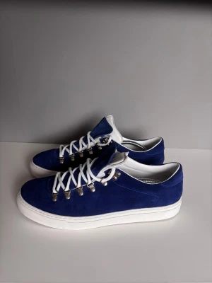 Diemme skor - Säljer ett par diemme skor i unik färg. Storlek 44, cond 10/10 nyskick, utan defekter. Medkommer endast skor!