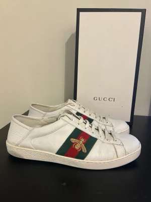 Gucci ace  - Gucci ace bee i fint som ni ser på bilderna! Allt Og som kvitto, låda, dustbags osv ingår! Hör av dig vid frågor!