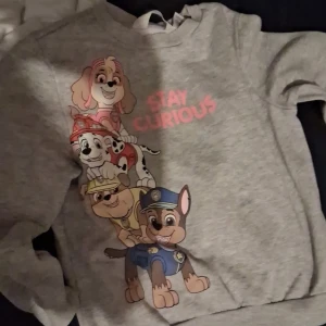 Grå sweatshirt med Paw Patrol-tryck - Säljer en grå sweatshirt med färgglatt Paw Patrol-tryck och texten 'Stay Curious' i rosa. Tröjan har lång ärm och rund hals, perfekt för dig som gillar coola och lekfulla motiv. Mjuk bomullskänsla och bekväm passform.