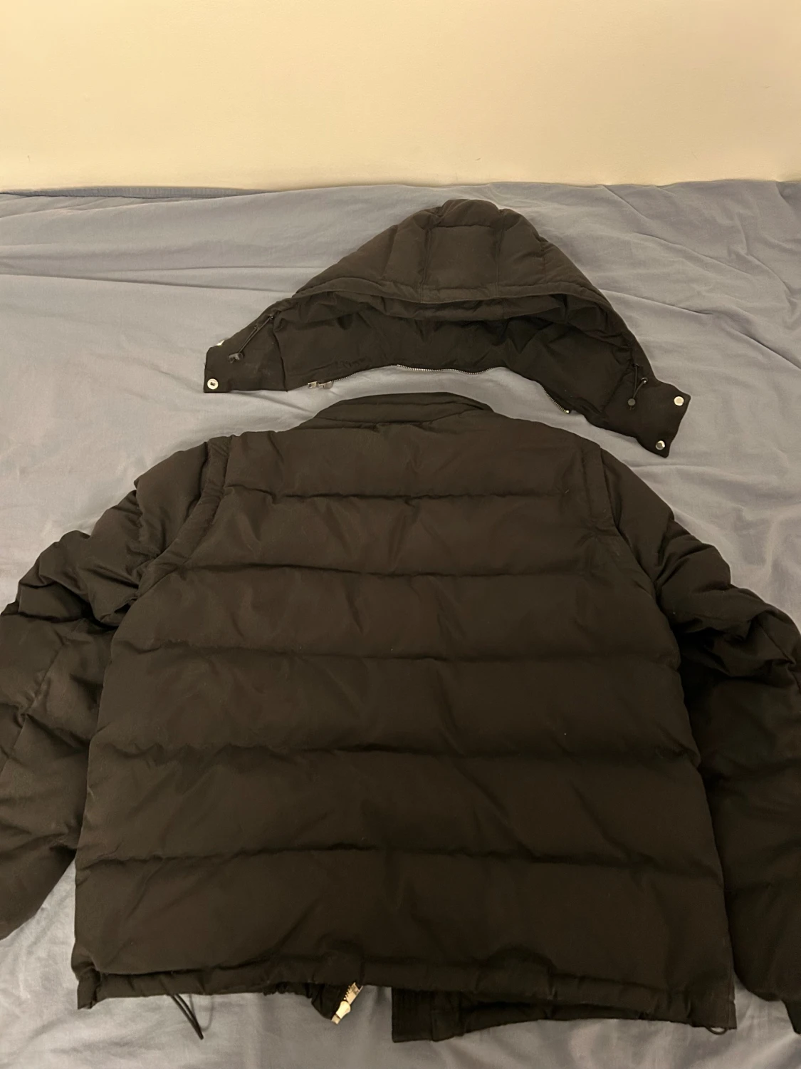 Svart pufferjacka från Corvidae M - 1