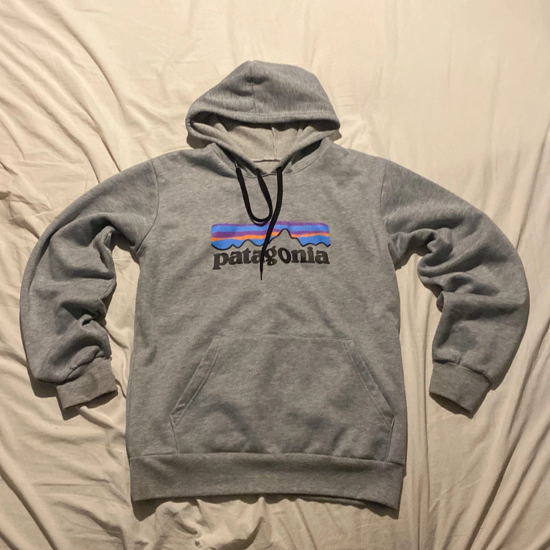 Grå Patagonia hoodie 