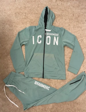 Mintgrön hoodie ICON Ibrahimovic - Säljer en mintgrön hoodie från Ibrahimovic x Dsquared2 med stor vit 'ICON'-text framtill och coolt grafiskt tryck på ryggen. Hoodien har huva, dragkedja och fickor framtill. Perfekt för dig som vill sticka ut med streetwear-vibe.