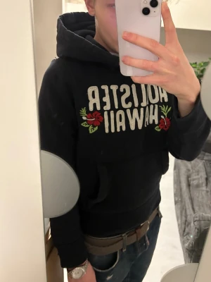 Hollister Hoodie - Model height 175cm