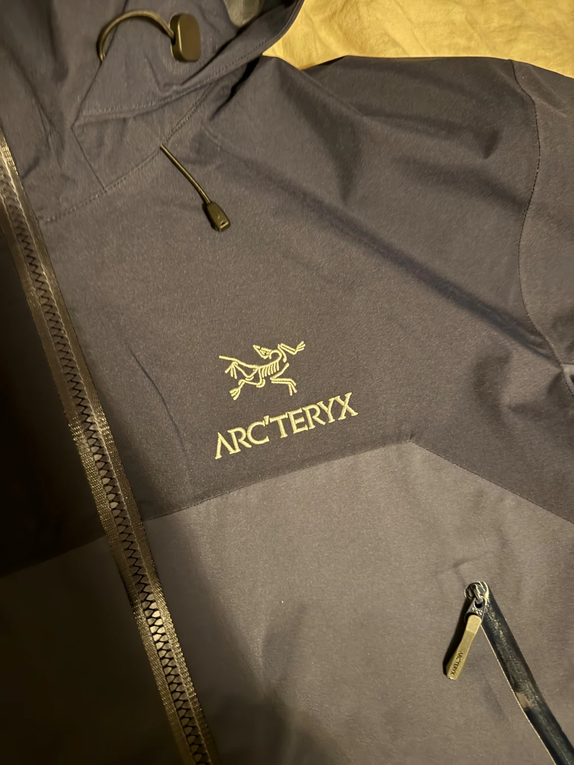 Blå Arc'teryx BETA AR - 1