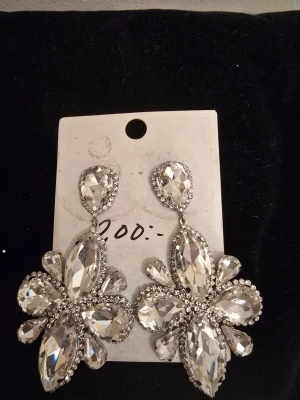 Glittrande örhängen  - Bilden visar ett par stora, glittriga örhängen med silvriga stenar i blomform, men ingen väst finns med på bilden.