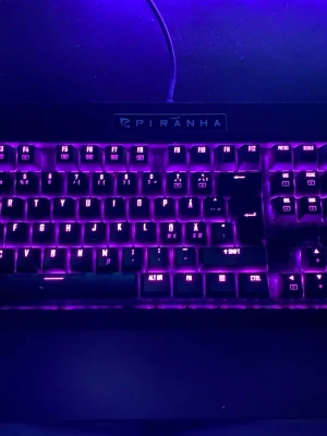 Piranha RGB mekaniskt tangentbord - Säljer ett Piranha mekaniskt tangentbord med RGB-belysning som kan växla mellan olika färger, bland annat lila och rött. Tangentbordet har nordisk layout och är perfekt för gaming eller skrivbordsarbete. Svart plastchassi och tydliga bakgrundsbelysta tangenter. Original pris 1,300 bytar mellan många olika färger och mönster!