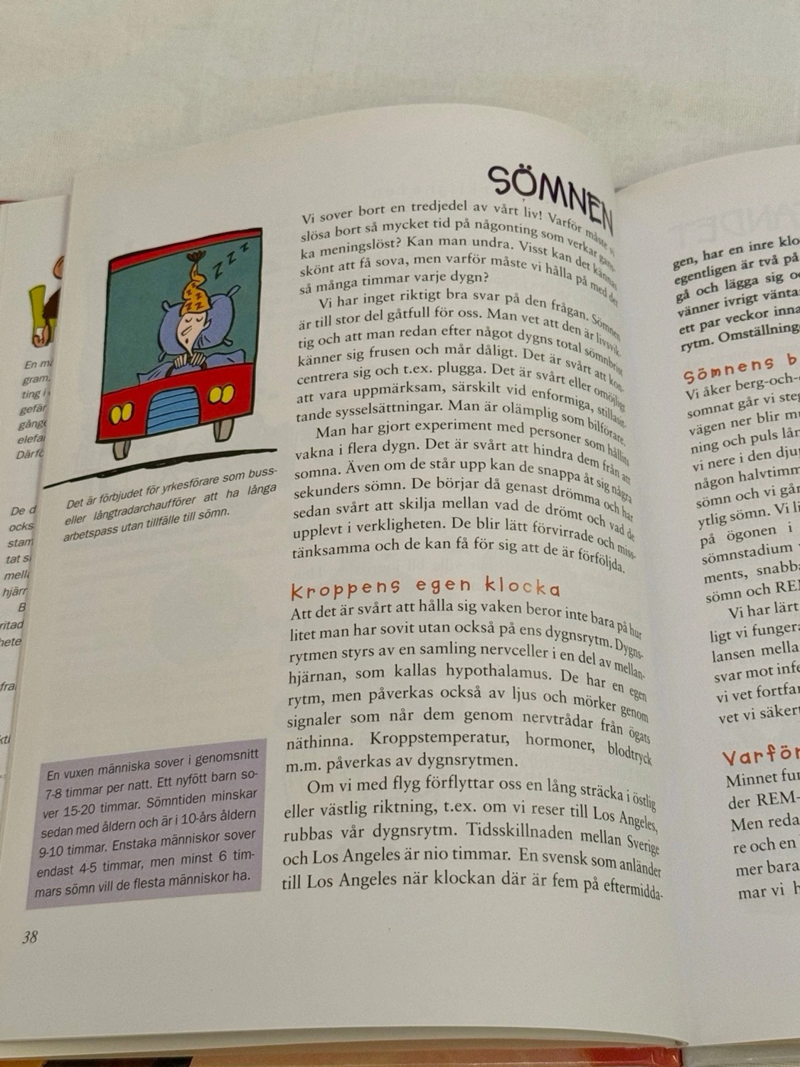 Barn bok: Din Fantastiska Hjärna - 4