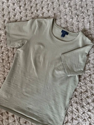 Ljusgrön t-shirt från GANT Woman - Snygg ljusgrön t-shirt från GANT Woman i storlek XS. Modellen är klassisk med rund hals och korta ärmar, perfekt för en chill och enkel look. Materialet är mjukt och känns skönt mot huden, och färgen är diskret och fräsch.