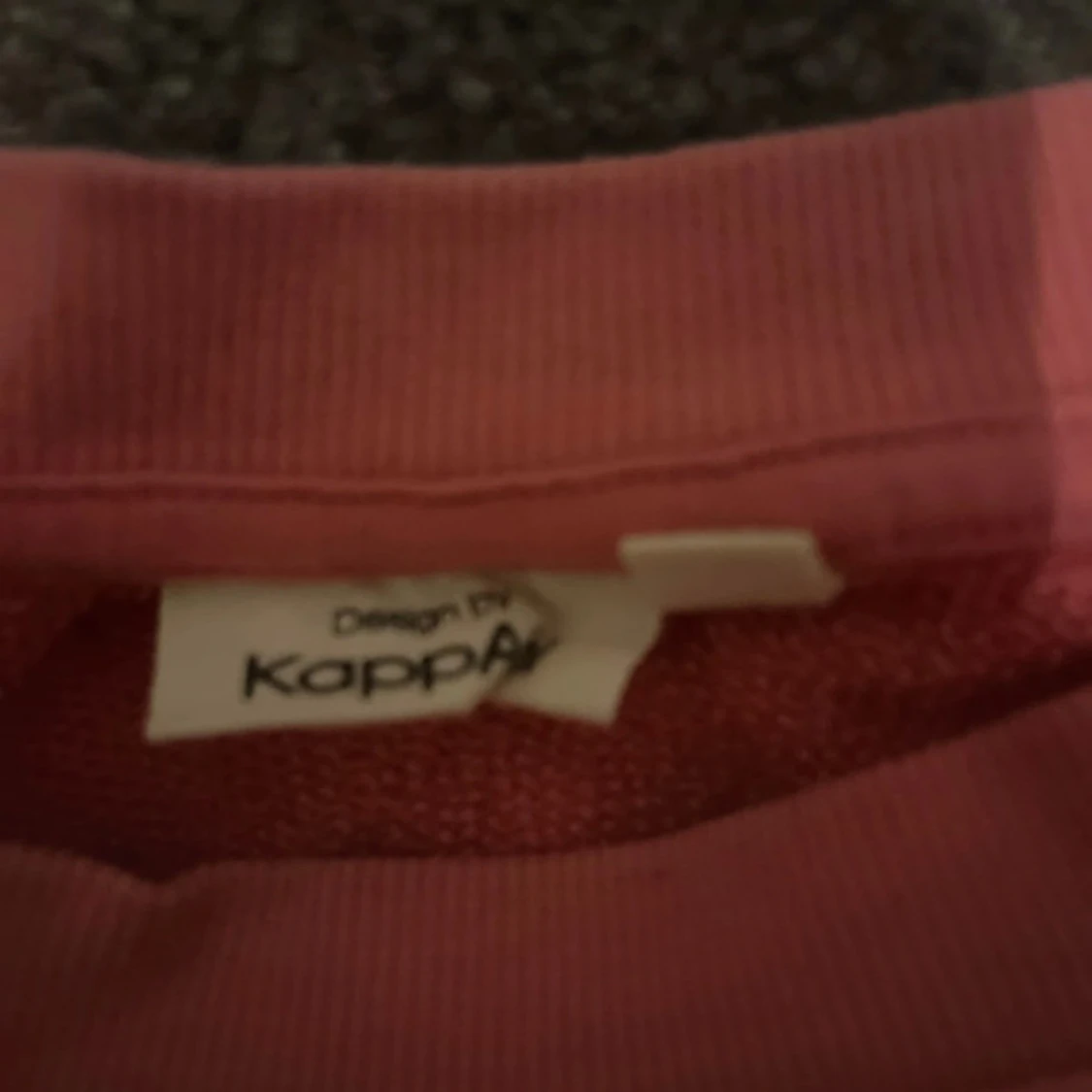 Rosa sweatshirt  - 2