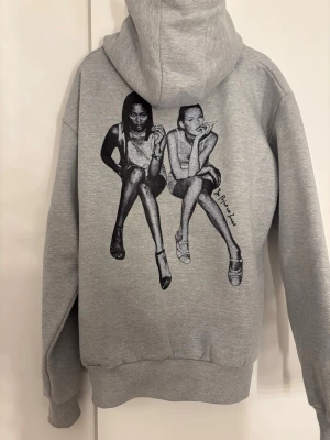 Grå hoodie med grafiskt tryck - Snygg grå hoodie från in print we trust med motiv på ryggen. Den är helt ny och aldrig använd. Köpte den  för 856kr men nypris 1800kr💞För mig tog det 6 veckor att få hoodien så om du har tänkt att beställa en så ha det i åtanke.