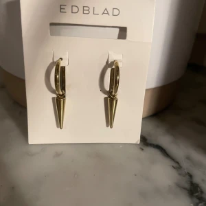 Edblad örhängen - Säljer mina Edblad örhängen som inte kommer till användning💕pris kan diskuteras