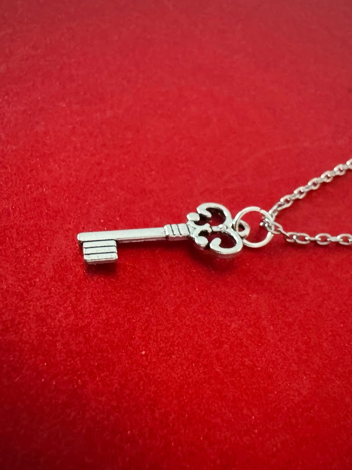 Nyckel halsband  - 2