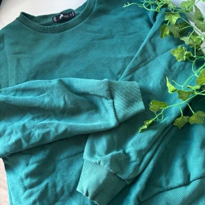 Grön sweatshirt från New Yorker  - Enkel och snygg grön sweatshirt i storlek L, men sitter perfekt på mig som är S/M. Tröjan har rund hals, ribbade muddar vid ärmslut och nederkant samt en loose passform. Perfekt för chill dagar eller när du vill ha en avslappnad stil. Bild två är mest rättvis i färgen, perfekt nu inför hösten 🍁 Tyvärr lite nopprig men inget som stör användandet. Katt finns i hemmet 🌸