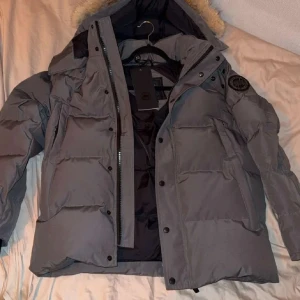  Canada Goose grey black label  - Säljer en grå dunjacka från Canada Goose. Jackan har en fluffig huva med päls, svarta detaljer och patch på ärmen. Flera fickor, dragkedja och knappar framtill. Perfekt för kalla dagar och riktigt snygg stil. Skriv i dm för mer info 