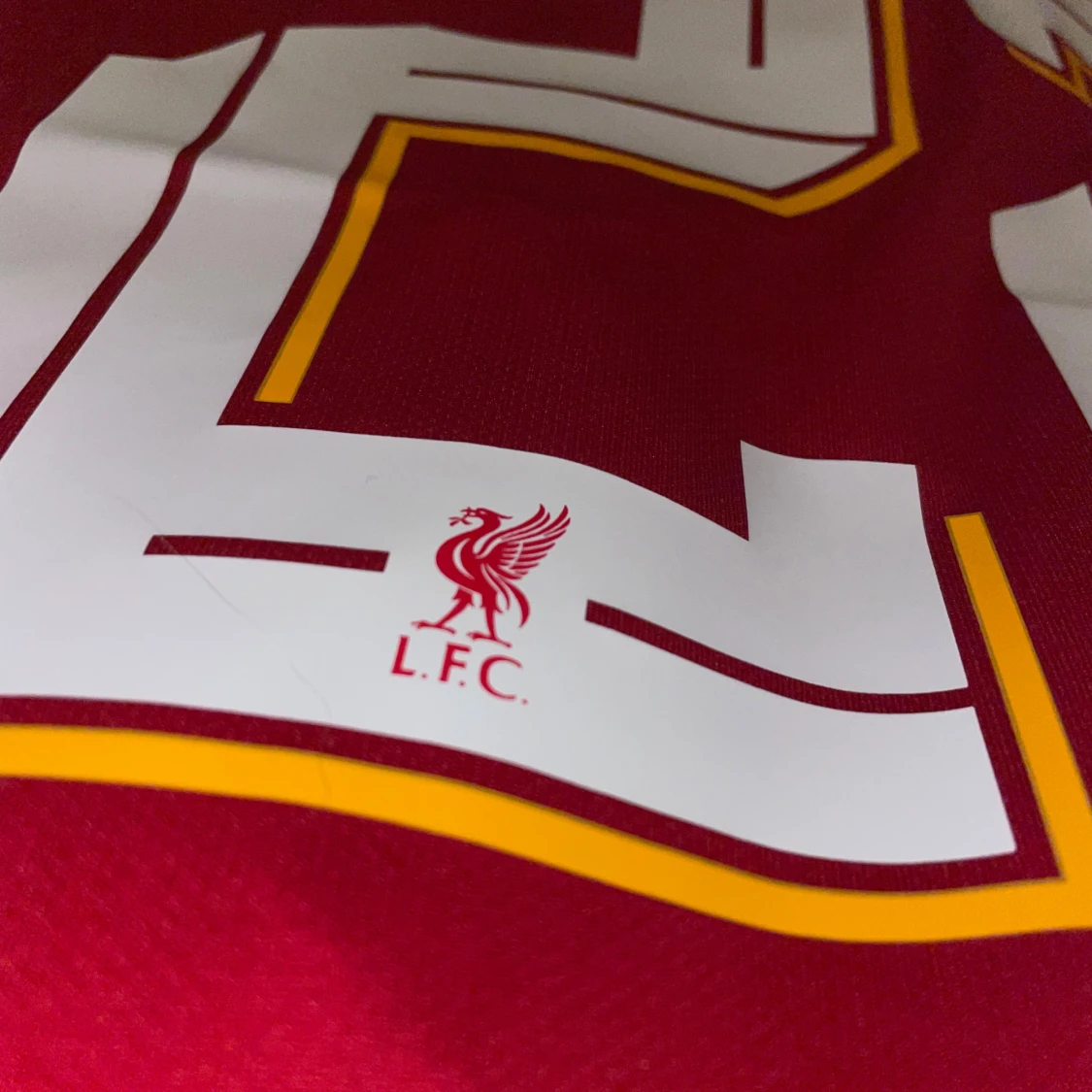  Ekitike #22 Liverpool 25/26 fotbollströja - 4