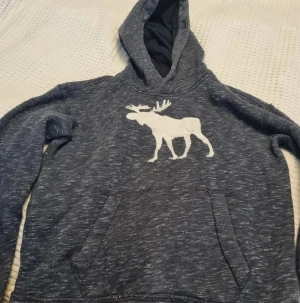 Blågrå hoodie från Abercrombie Kids - Blågråmelerad hoodie från Abercrombie Kids med en vit älg på bröstet. 