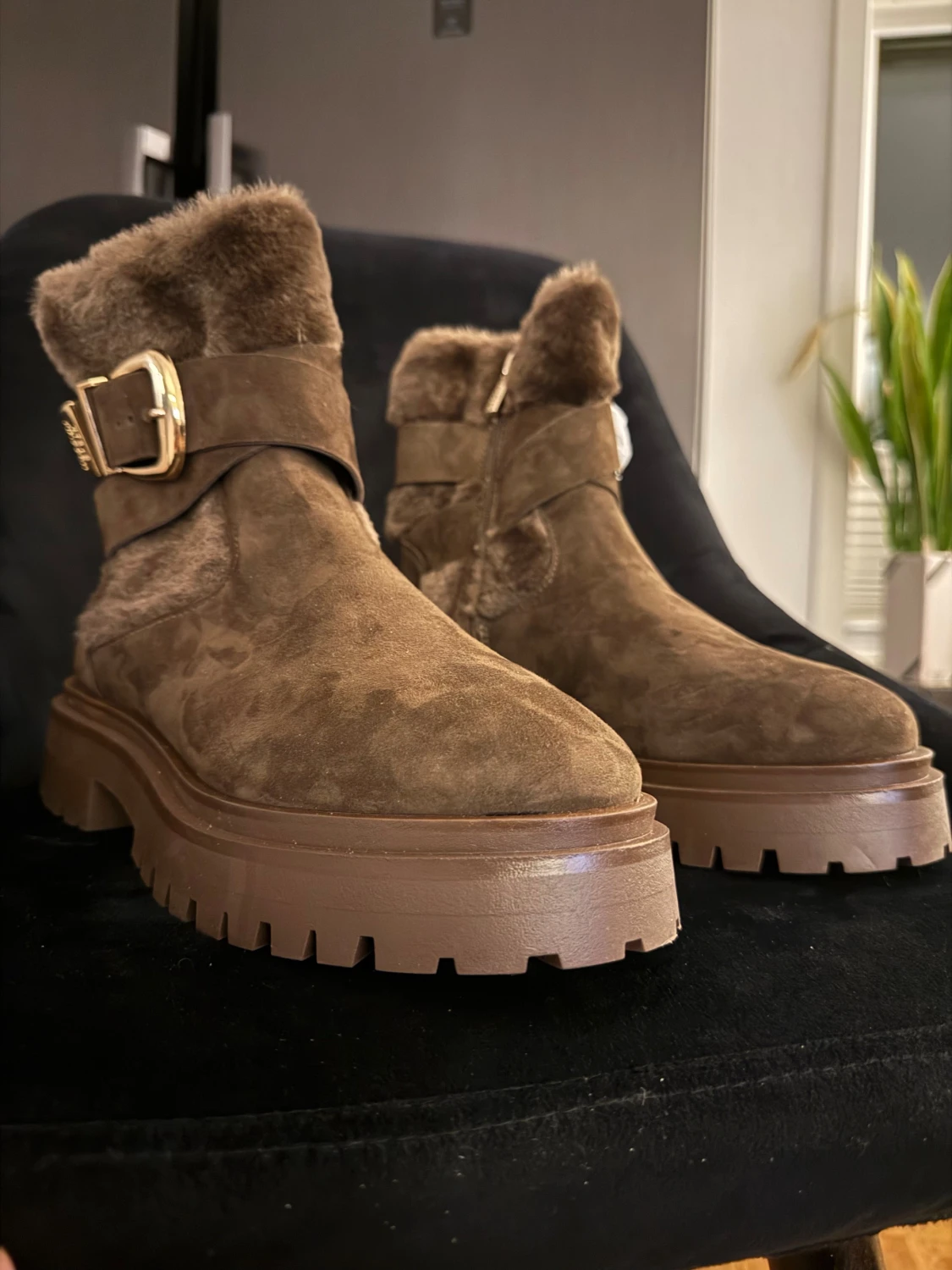 Bruna boots i mocka från Steve Madden