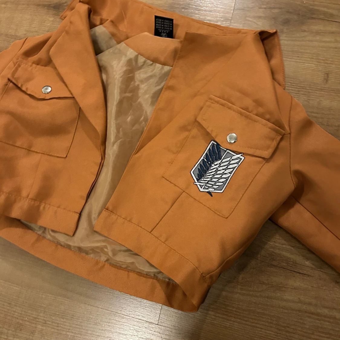 Attack on Titan cosplay - 1