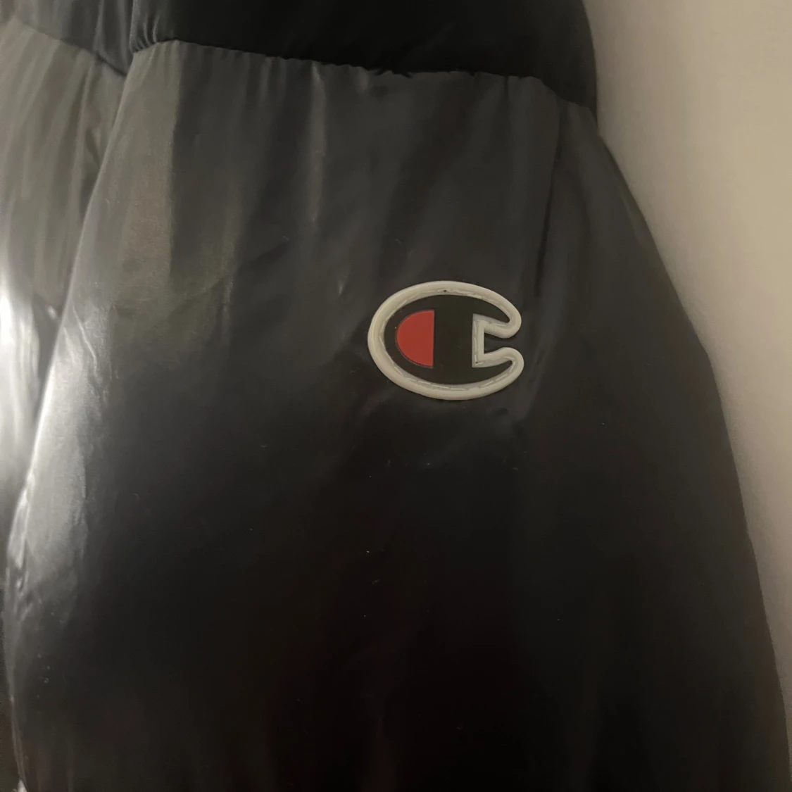 Glansig dunjacka  - 3