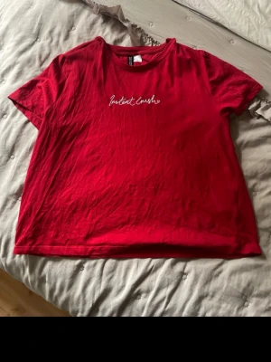 Röd t-shirt från Divided med brodyr - Säljer en röd t-shirt från Divided i storlek L med vit broderad text 'Instant Crush' på bröstet. T-shirten har rund hals och korta ärmar, tillverkad i mjuk bomull. Perfekt för dig som gillar statement-plagg och enkel stil.