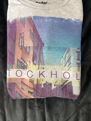 Grå sweatshirt från Cedarwood state -  Schysst  grå sweatshirt från Cedarwood state med Sthlm tryck. Storlek: L Skick: 10/10 (ny) utan prislapp. Pris kan diskuteras 👍